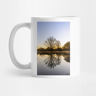 Richmond Park Morning Mug